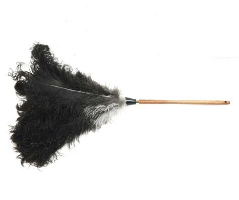 lot traditional  feather duster