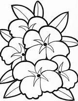 Coloring Pages Simple Flower Easy Printable Seniors Library Clipart sketch template