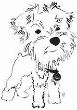 Schnauzer Coloring Pages Dog Miniature sketch template