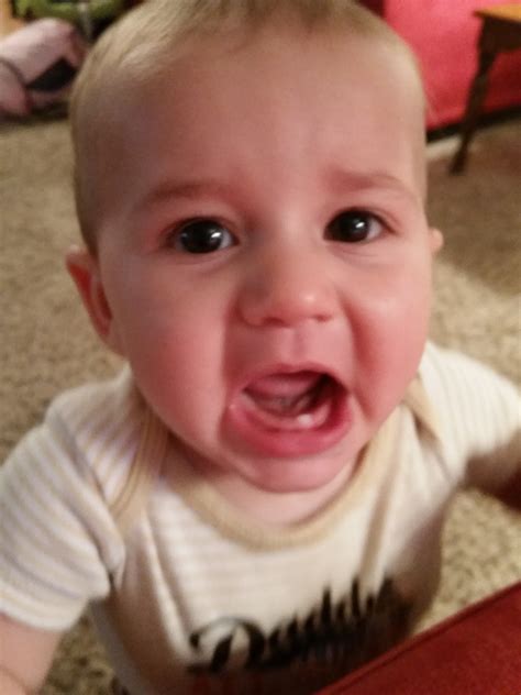 baby  months   teeth teethwalls