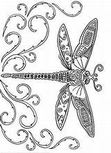 Dragonfly Aislinn Wilkins sketch template