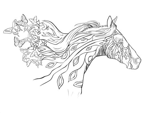 coloring pages  adults horses  getcoloringscom  printable