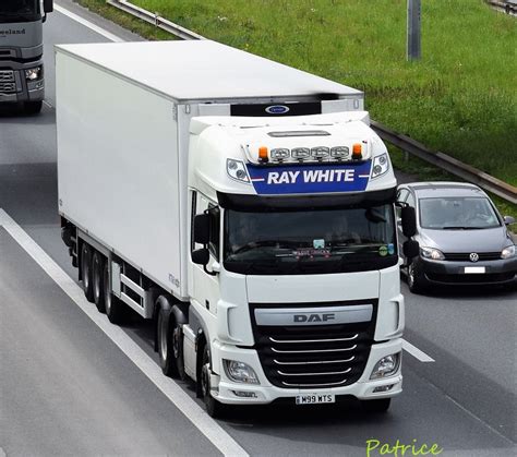 whites transport services page
