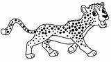 Guepardo Geparden Coloring Cheetah Animados Gepard Ausdrucken Dibujosonline Getdrawings sketch template