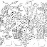 Coloring Pages Paradise Getdrawings Adults Color Colouring Jungle Book Getcolorings sketch template