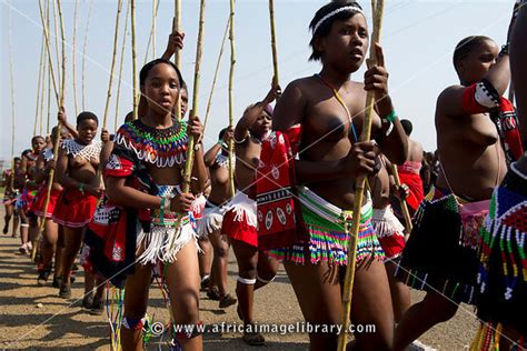 Photos And Pictures Of Zulu Maidens Deliver Reed Sticks