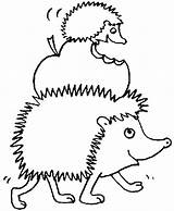 Coloring Hedgehogs Fun Kids Votes sketch template