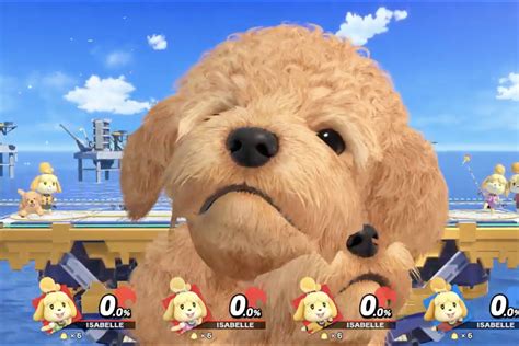 smash bros tournament  provide therapy dogs   players dealing  performance anxiety