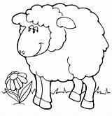 Coloring Pages Cute Sheep Lamb Color Sheeps Animal Animals Eid sketch template
