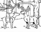 Coloring Hunting Deer Dog Pages Mistletoe Under Indian Color Winter Printable Kids Getcolorings Template sketch template