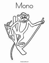 Guenon Dessin Coloriage Monkeys Branche Mono Imprimer Noodle Singe Caricatura Rama Chimpanzee Imprimé sketch template