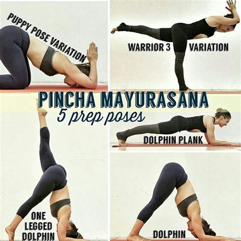 bendy yoga wannabe  instagram follow atcatvaladezyoga   yoga
