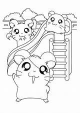 Coloring Pages Cute Hamster Hamtaro Kids Hamsters Ham Friends Printable Choose Board Popular Animal Cartoon sketch template