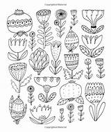 Coloring Botanicals Illistration Color Just Add Hang Customize Illustrations Original Flower Amazon Illustration Doodles Designlooter sketch template
