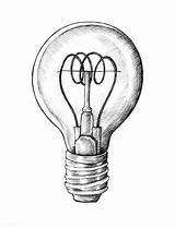 Bulb Illustration Rawpixel Drawn Lightbulb Bulbs Bombilla sketch template