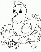 Hen Coloring Pages Part 123coloringpages Animal sketch template