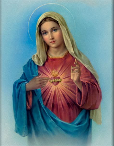 Infallible Catholic The Blessed Virgin Mary The New Ark