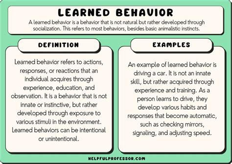 15 Learned Behavior Examples 2024