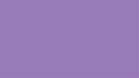 lavender purple solid color background