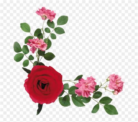 gimp rounded corners disabled dating flores rojas  decorar