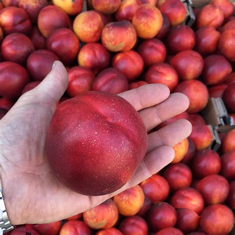 soft fruit box  emments fine fruit  vegetable emporium