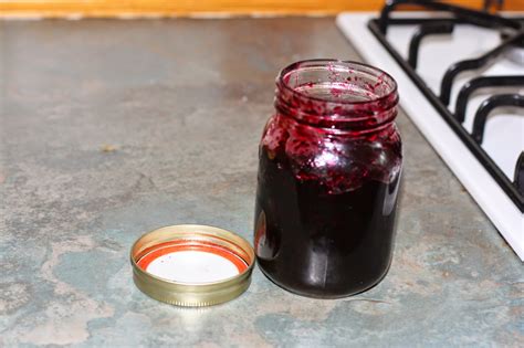 chow  chatter blackcurrant jam