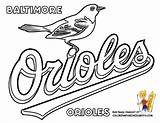 Coloring Pages Baseball Red Sox Mlb Book Print Sheet Orioles Baltimore Color Sheets Popular Colouring Coloringhome sketch template