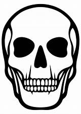 Skull Skeleton Esqueleto Skelett Colorir Coloringonly Ausmalbilder Ausmalbild Coloring4free Skjelett Barnet Ditt Beste Menneskelig Humano Getdrawings Feito Bem sketch template