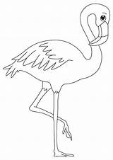 Flamingo Draw Momjunction sketch template