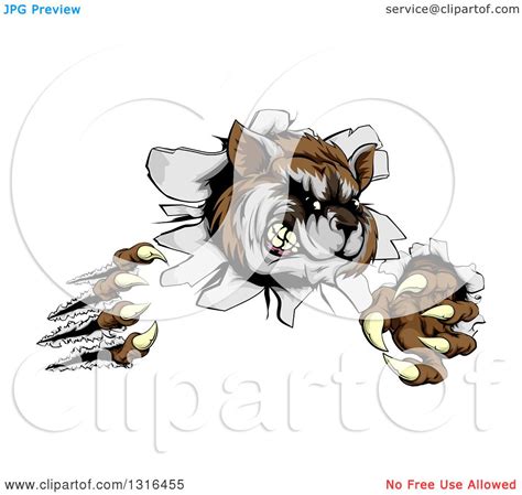 clipart of a vicious raccoon monster shredding through a