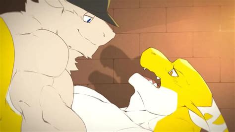 gay furry animation backstreets dragon porn videos