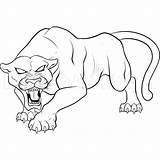 Panther Drawing Animal Coloring Pages Spiderman Kids Pantera Drawings Outline Print Draw Dibujo Easy Panthers Negra Colouring Printable Head Angry sketch template