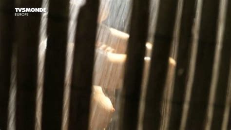 nude video celebs margaux chatelier nude la baie d alger 2012