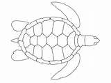 Tortugas Tortuga Tartaruga Aboriginal Turtles Templates Sponsored Gratistodo sketch template