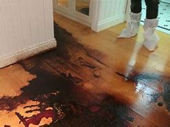 blood spill cleanup  broward palm beach  miami dade counties fl