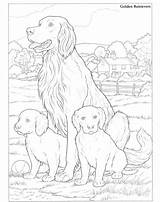 Retrievers Colouring Hunde Hund Tierheim Süße Doverpublications Dover Volwassenen Publications Zeichnungen Chien sketch template