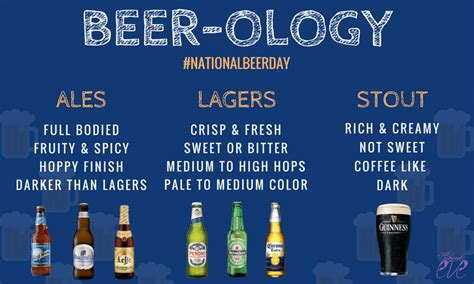 Beer Ology Different Types Of Beer Explained Home
