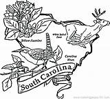 Carolina Symbols Coloring South State Pages North Map Printable Color Flag Usa Southa Getcolorings Online Getdrawings Template Coloringpages101 Print Comments sketch template