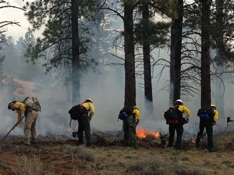 women  wildland fire program sparks careers   apply cedar