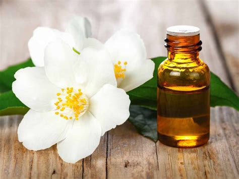 Health Benefits Of Jasmine Essential Oil Organic Facts