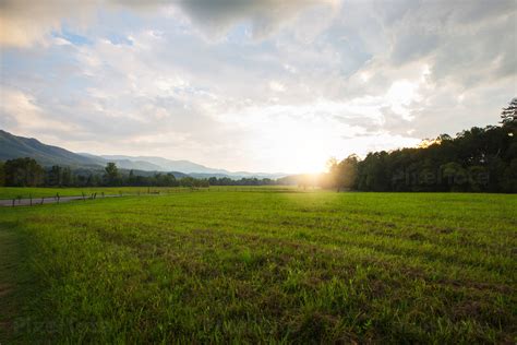 grass field  grass field se