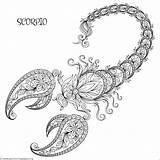 Scorpio Zodiac Astrology Mandala sketch template