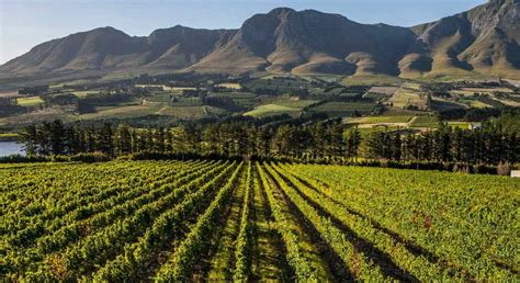 wine farms newton johnson utforska sydafrika