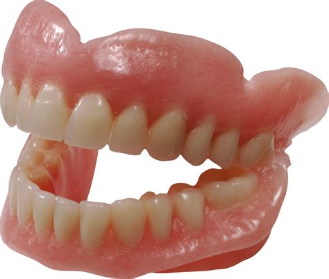 teeth png images tooth png image