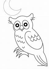 Hibou Coloriage Hiboux Imprimer Animaux Coloriages Chouette Owls Forêt Oiseau Danieguto Foret sketch template