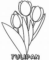 Tulipany Kolorowanka Wydruku Kolorowanki Kwiaty Bukiet Druku Dla Mala Tulipanów Tulipanow sketch template