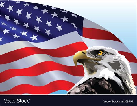 bald eagle american flag royalty free vector image