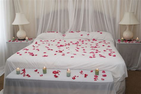 rose petal bed stock photo  image  istock