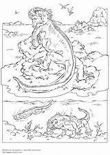 Coloring Iguana sketch template