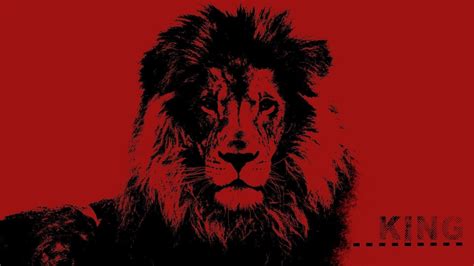 red  black lion wallpapers wallpaper cave